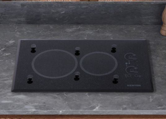 Lite-Touch Q® 2 Burner Large with PUPS™