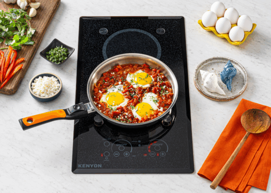 Lite-Touch Q® 2 Burner with PUPS™
