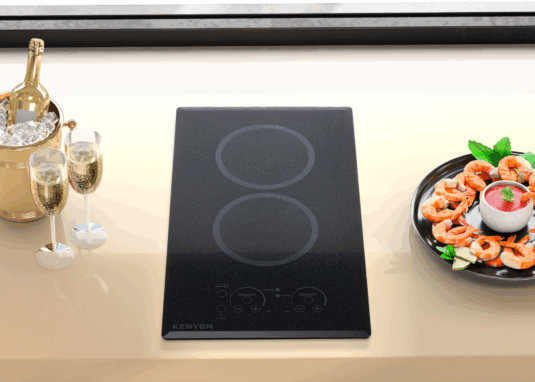 Lite-Touch Q® 2 Burner
