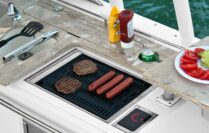 Grill w- Remote