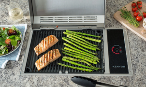 Electric Grills